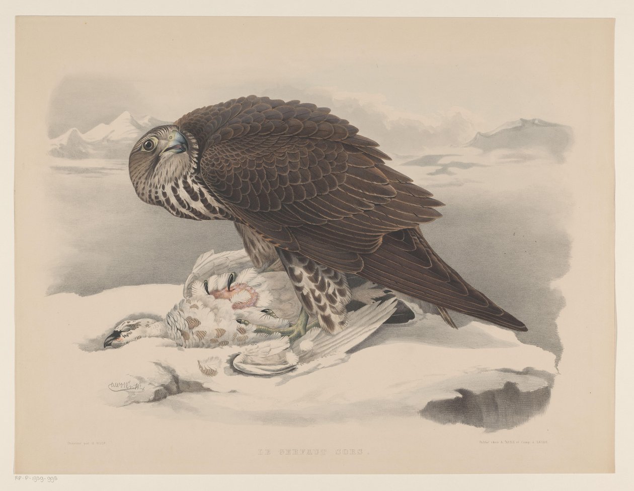 Gyrfalcon com grouse de neve
Le gerfaut sors (título sobre o objecto) de Willem Bastiaan van Wouw