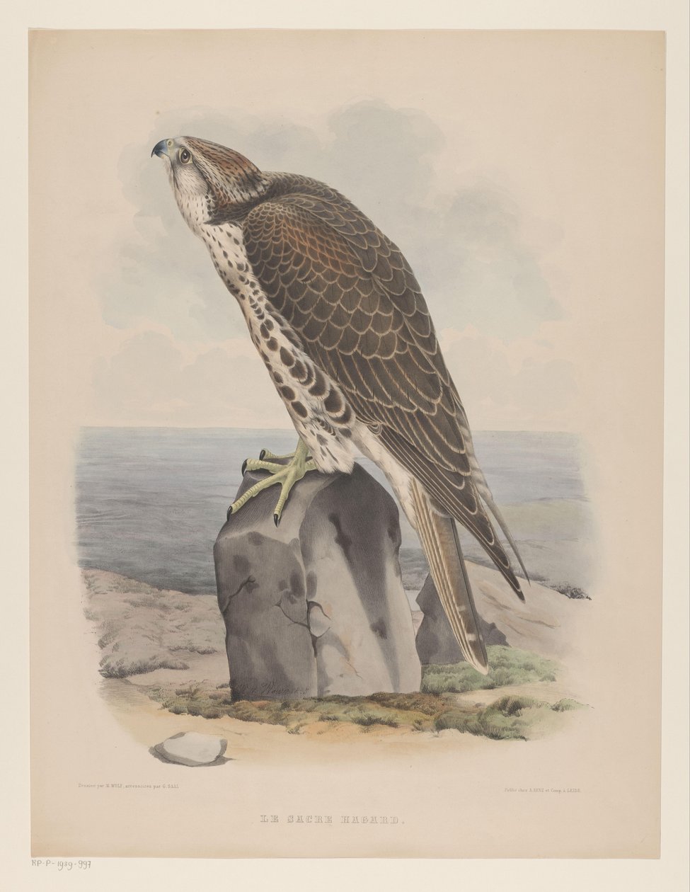 Valk Le sacre hagard (título no objeto) de Willem Bastiaan van Wouw