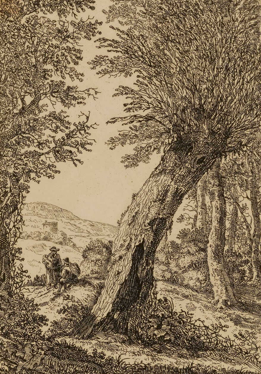 Paisagem com salgueiro de Willem Bemmel