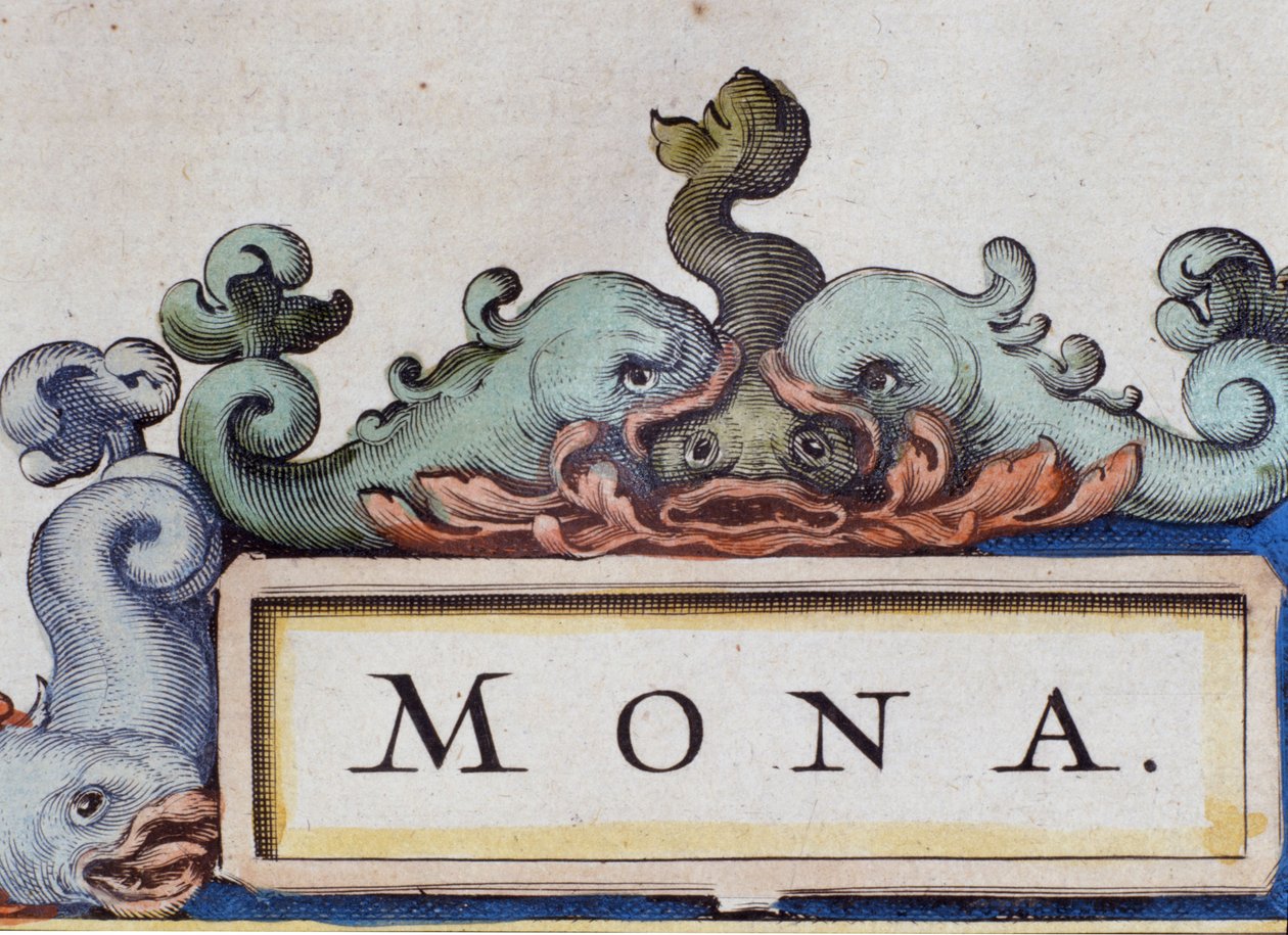 Golfinhos, frontispício ao estilo Roquaille. Detalhe do Atlas di W. Blaeu, Amsterdam 1650. de Willem Blaeu