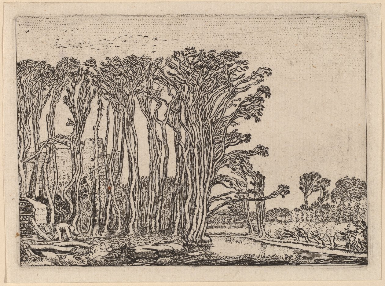 O Carvoeiro de Willem Buytewech