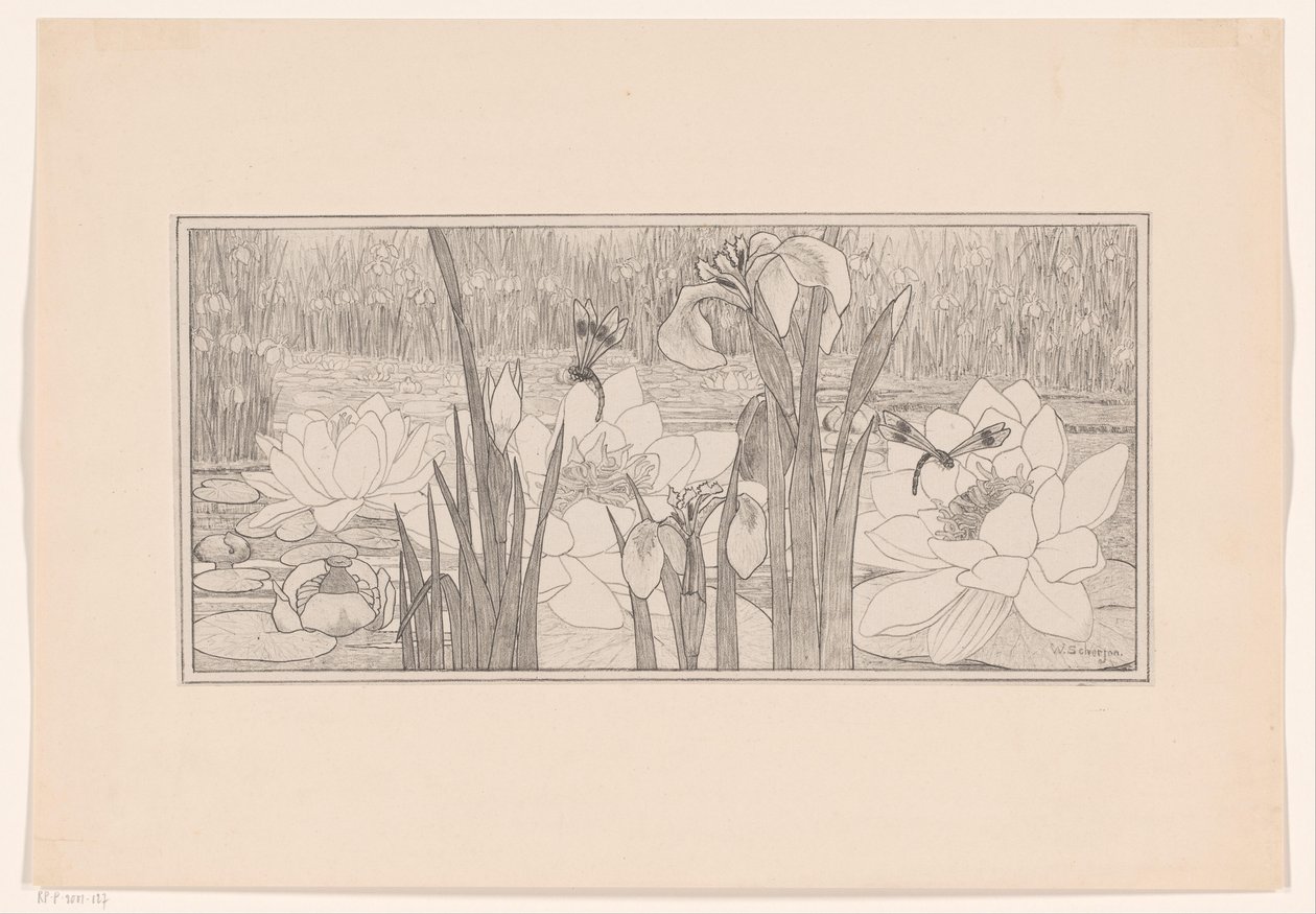 Waterlilies de Willem C. Scherjon