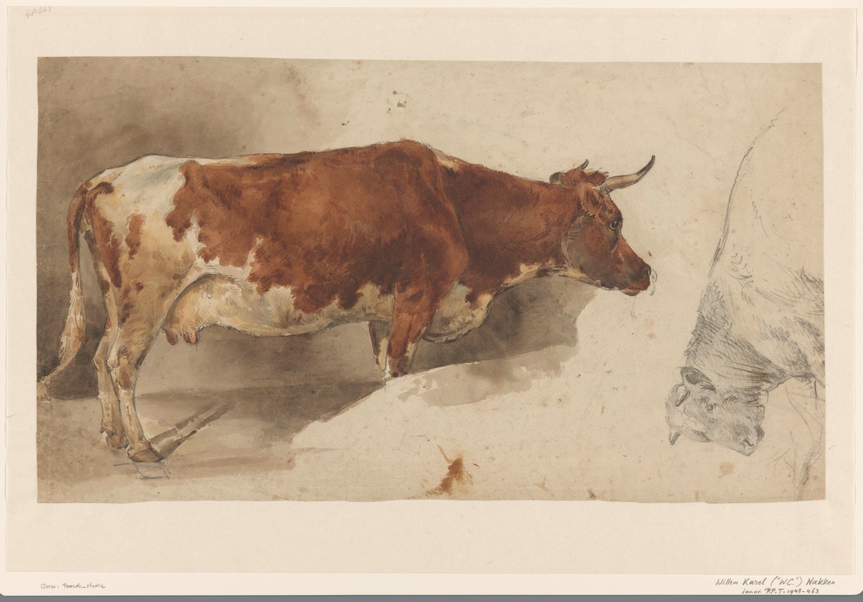 Vaca em pé, à direita, e esboço de um bovino de Willem Carel Nakken