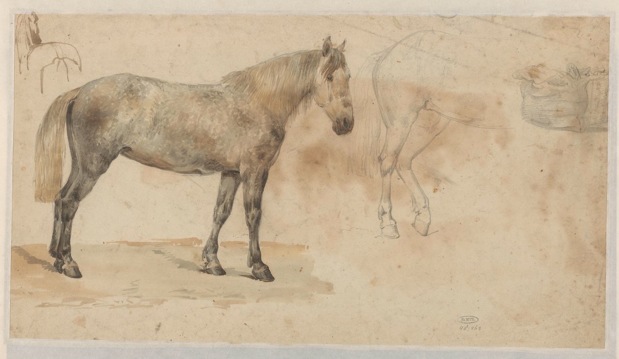 Estudos de um cavalo de Willem Carel Nakken