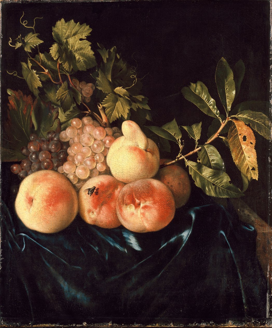 Still Life of Peaches and Grapes, 1705 de Willem Frederiksz van Royen