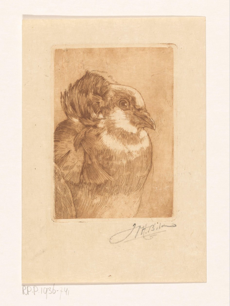 Estudo de um pombo de Willem Hendrik Bik (signed by artist)