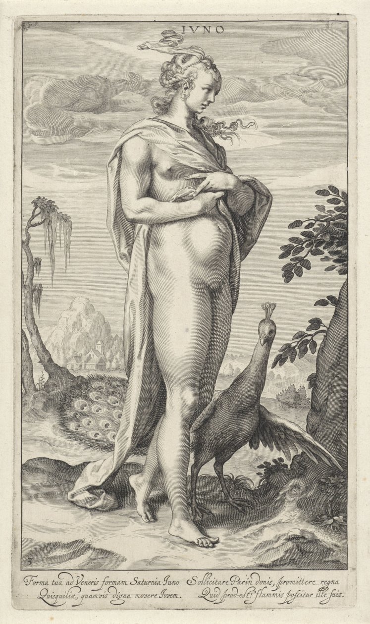 Juno com pavão
Iuno (título sobre o objecto)
Julgamento de Paris (título da série) de Willem Isaacsz. van Swanenburg