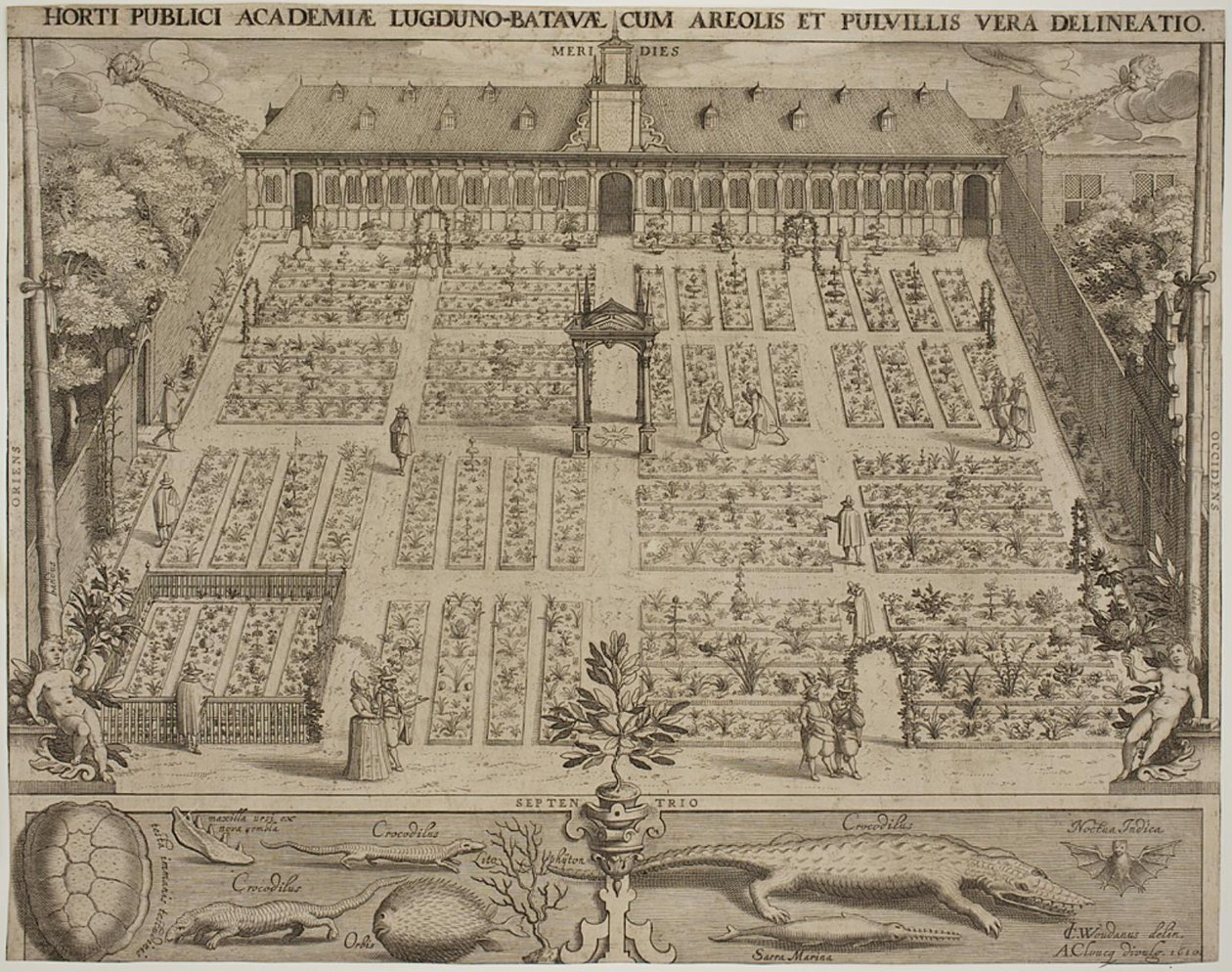 O jardim botânico em Leyden de Willem Isaaksz Swanenburgh
