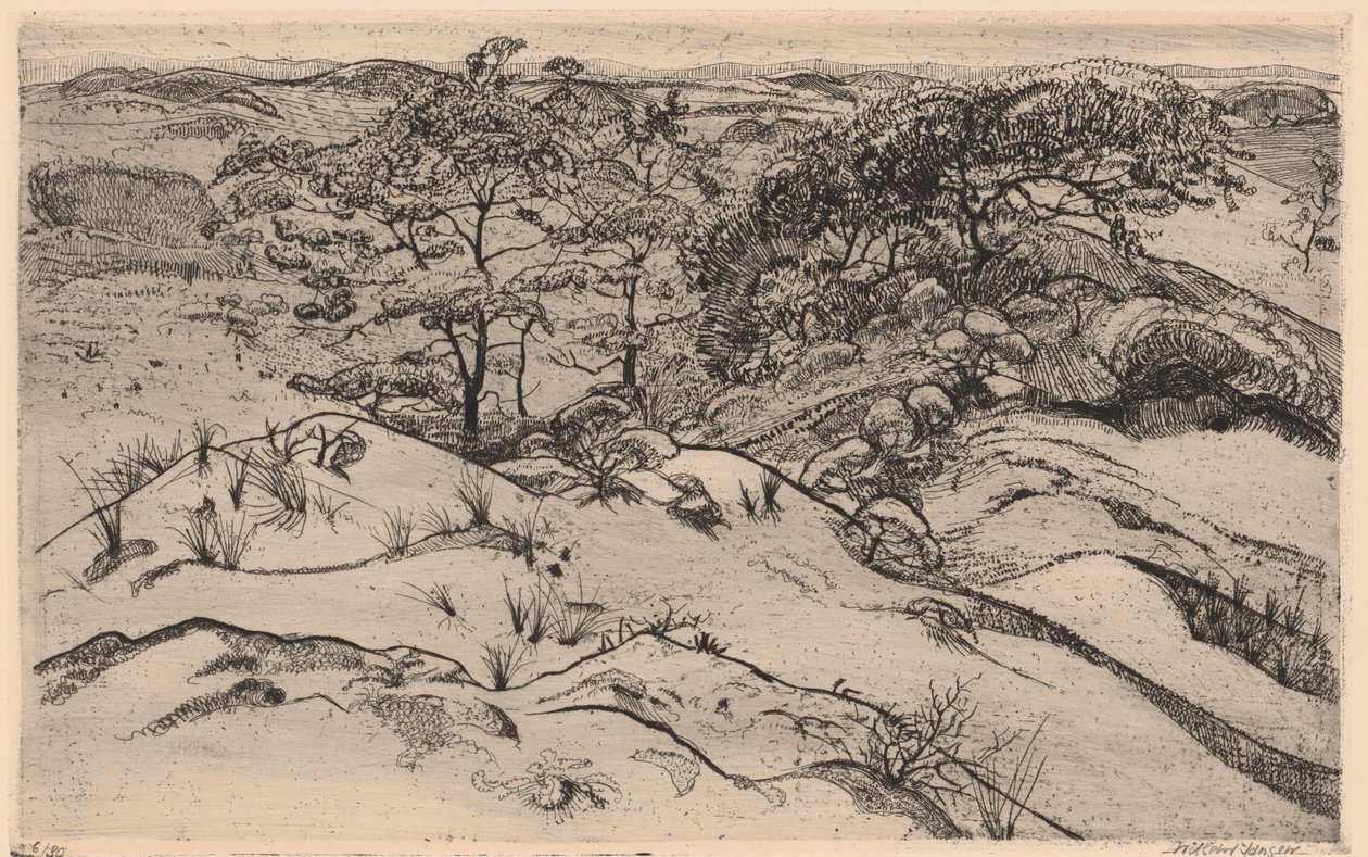 paisagem de dunas de Willem Jansen (graveur) (signed by artist)