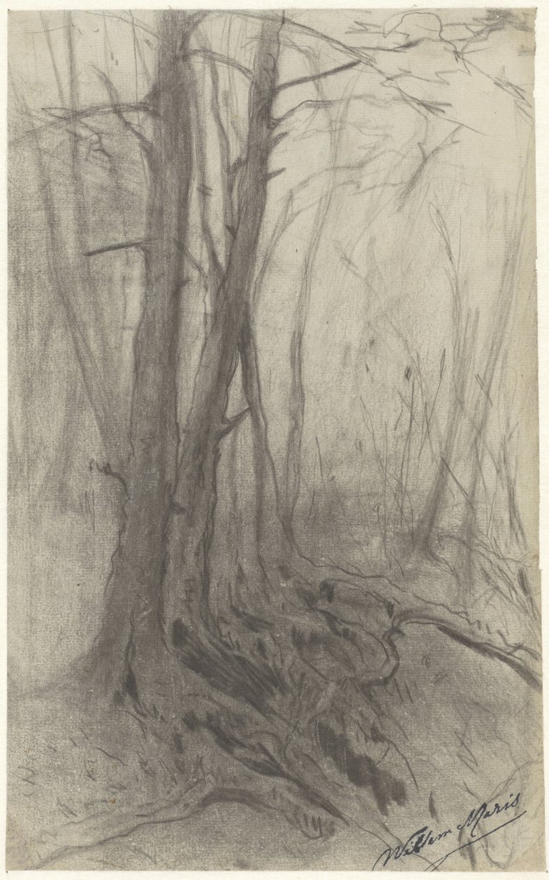 Árvores numa floresta de Willem Maris