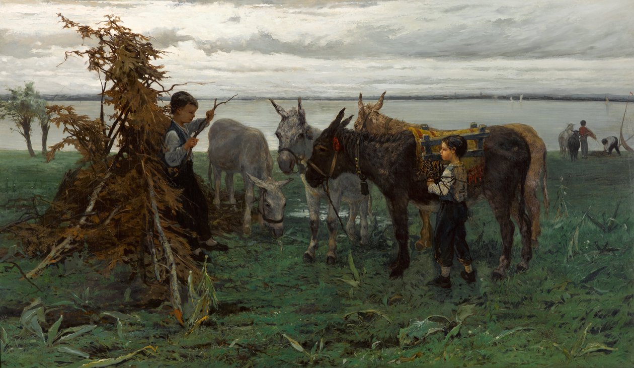 Rapazes a pastorear burros de Willem Maris