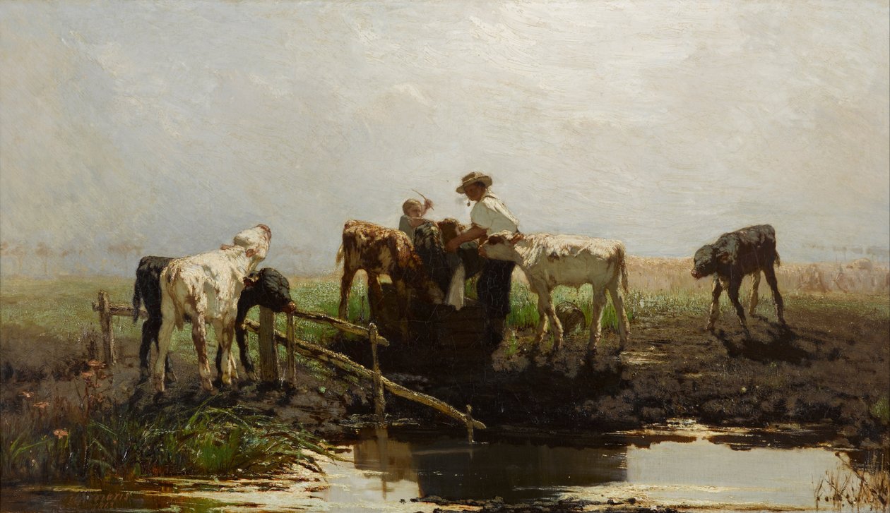 Bezerros em uma calha de Willem Maris