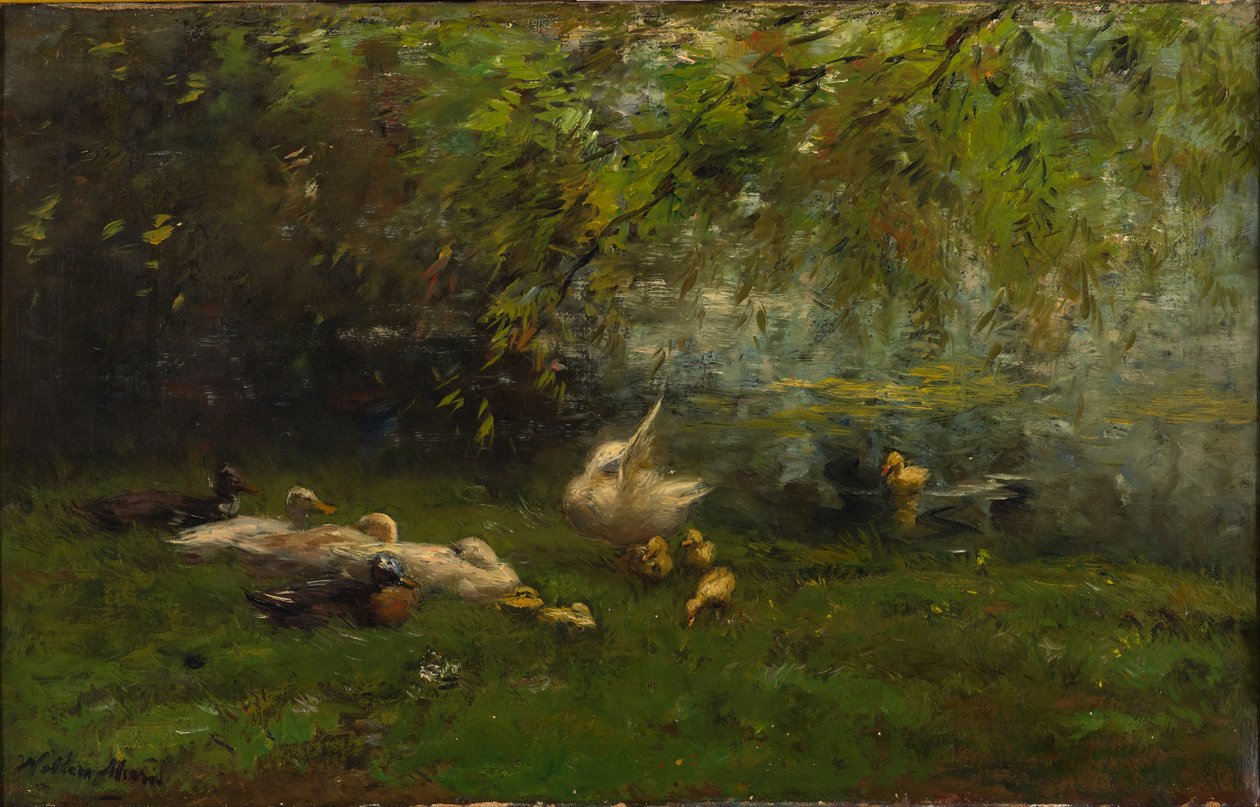 Céu de pato de Willem Maris