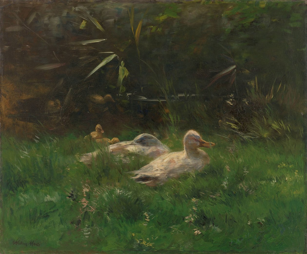 Eenden de Willem Maris