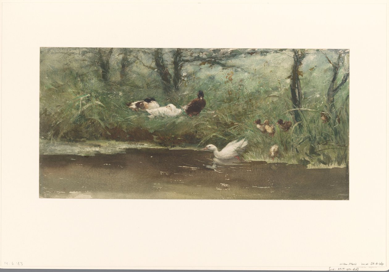 Patos no lado da vala de Willem Maris