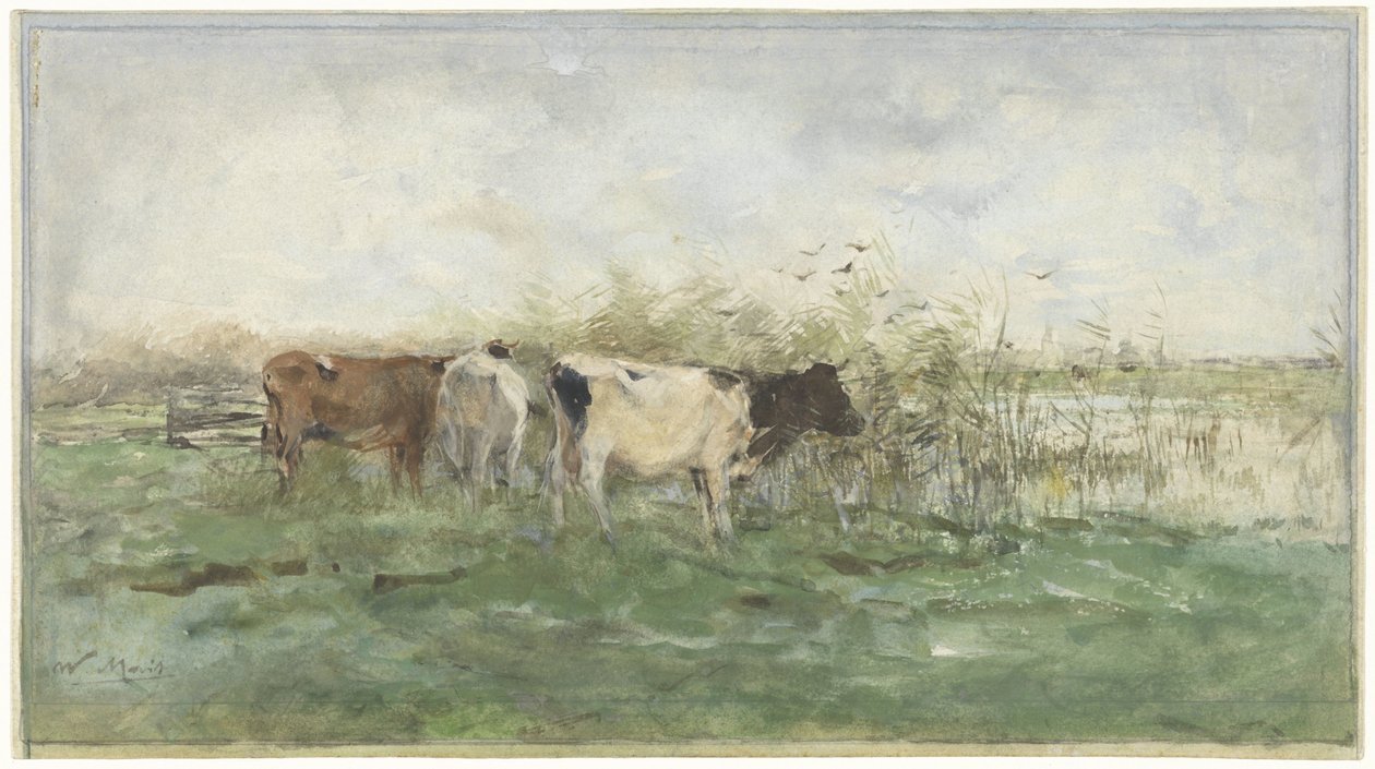 Vacas por uma poça de Willem Maris