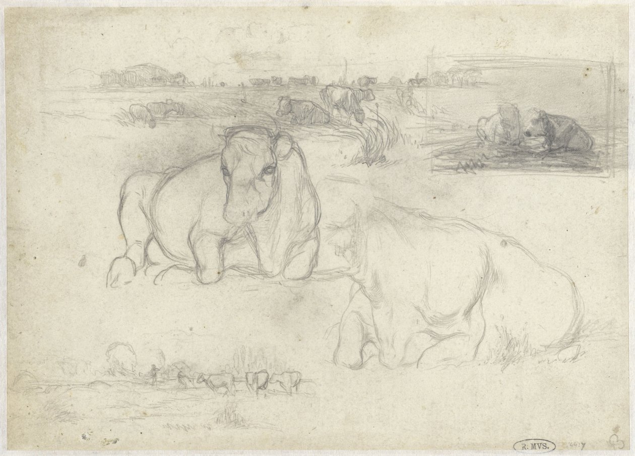 desenhos de vacas de Willem Maris