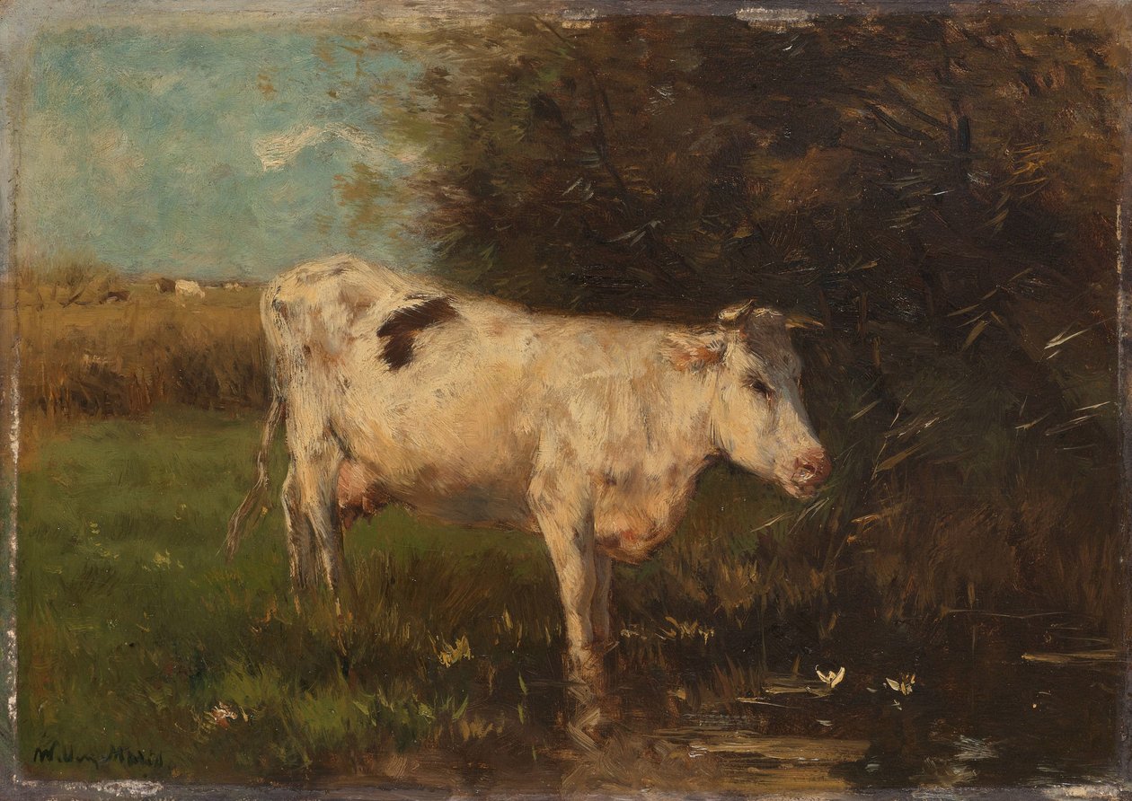 Vaca branca de Willem Maris