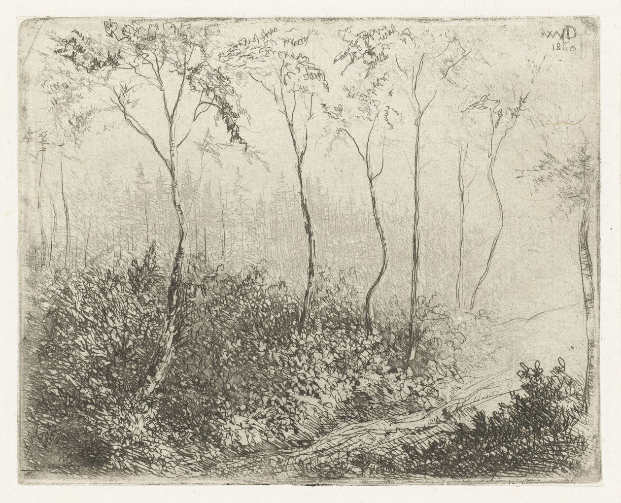 paisagem da floresta de Willem Matthias Jan van Dielen