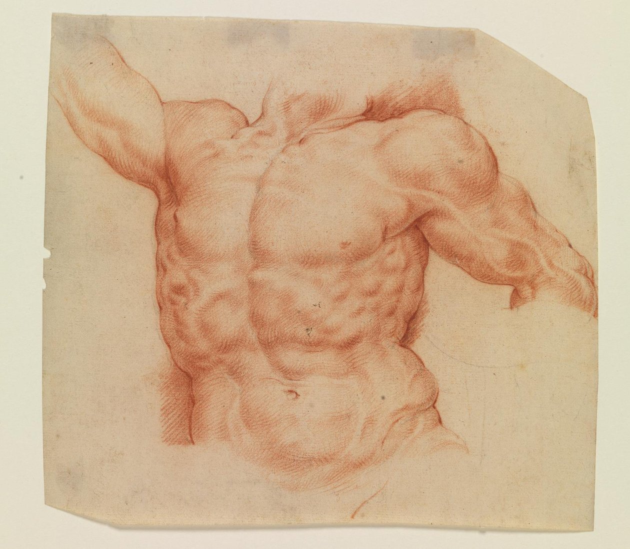 Vista frontal do torso de Laocoon de Willem Panneels