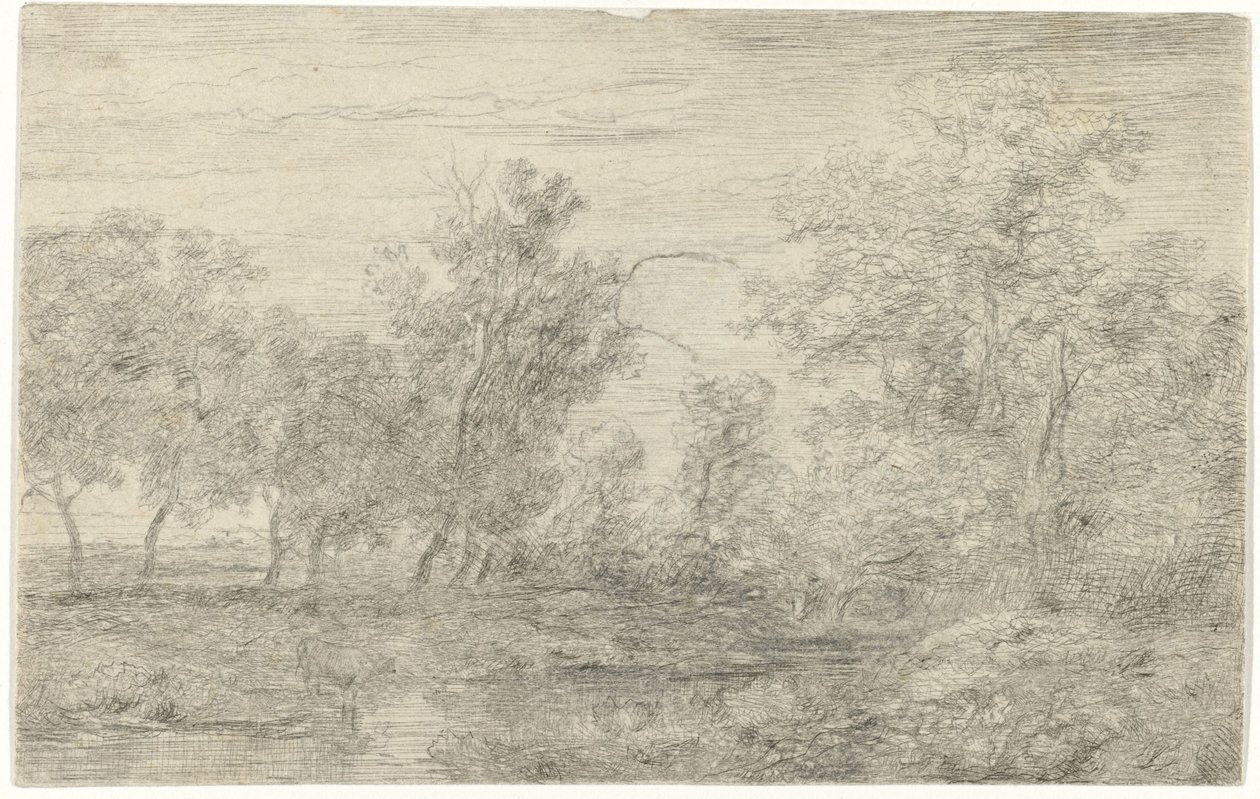 Brook de Willem Roelofs (I)