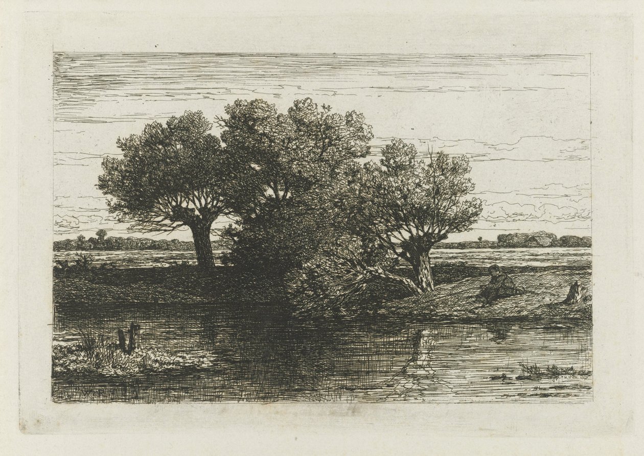 Pescador junto aos salgueiros de sondagem de Willem Roelofs (I)