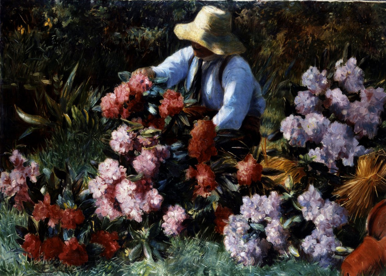 Rododendros. Um jardineiro cuida das suas flores num jardim. Pintura de Willem Roelofs (1822-1897 holandês) Coleção particular de Willem Roelofs