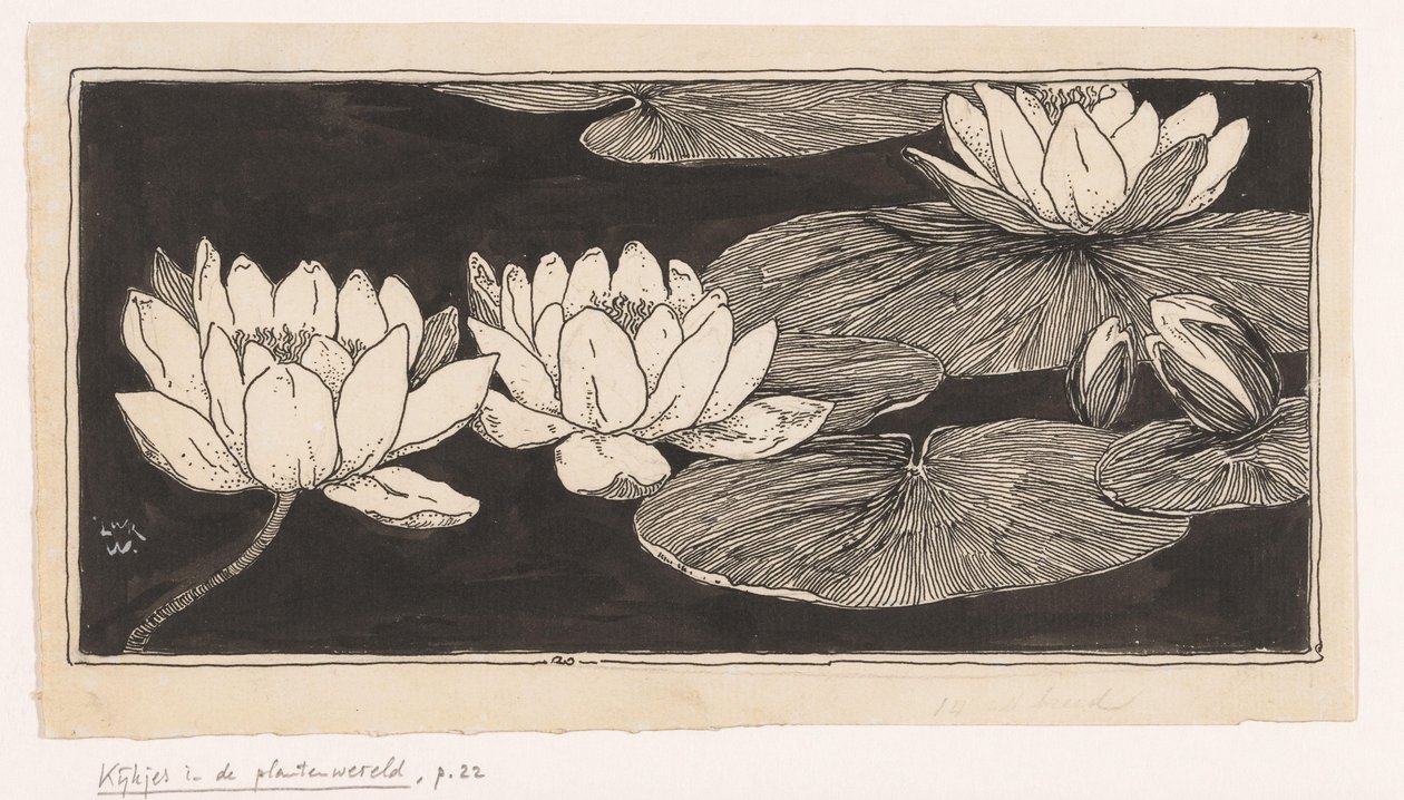 Waterlilies de Ludwig Willem Reymert Wenckebach