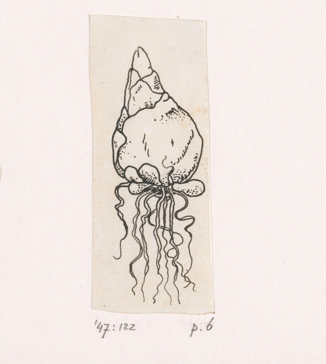 Lâmpada de flor de Willem Wenckebach