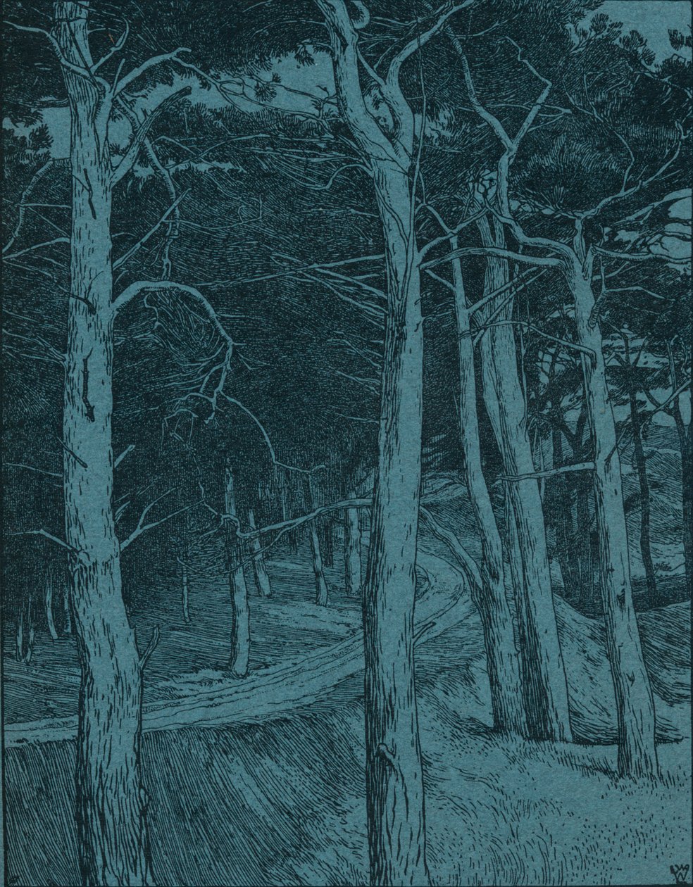 Floresta, c1912 de Willem Wenckebach