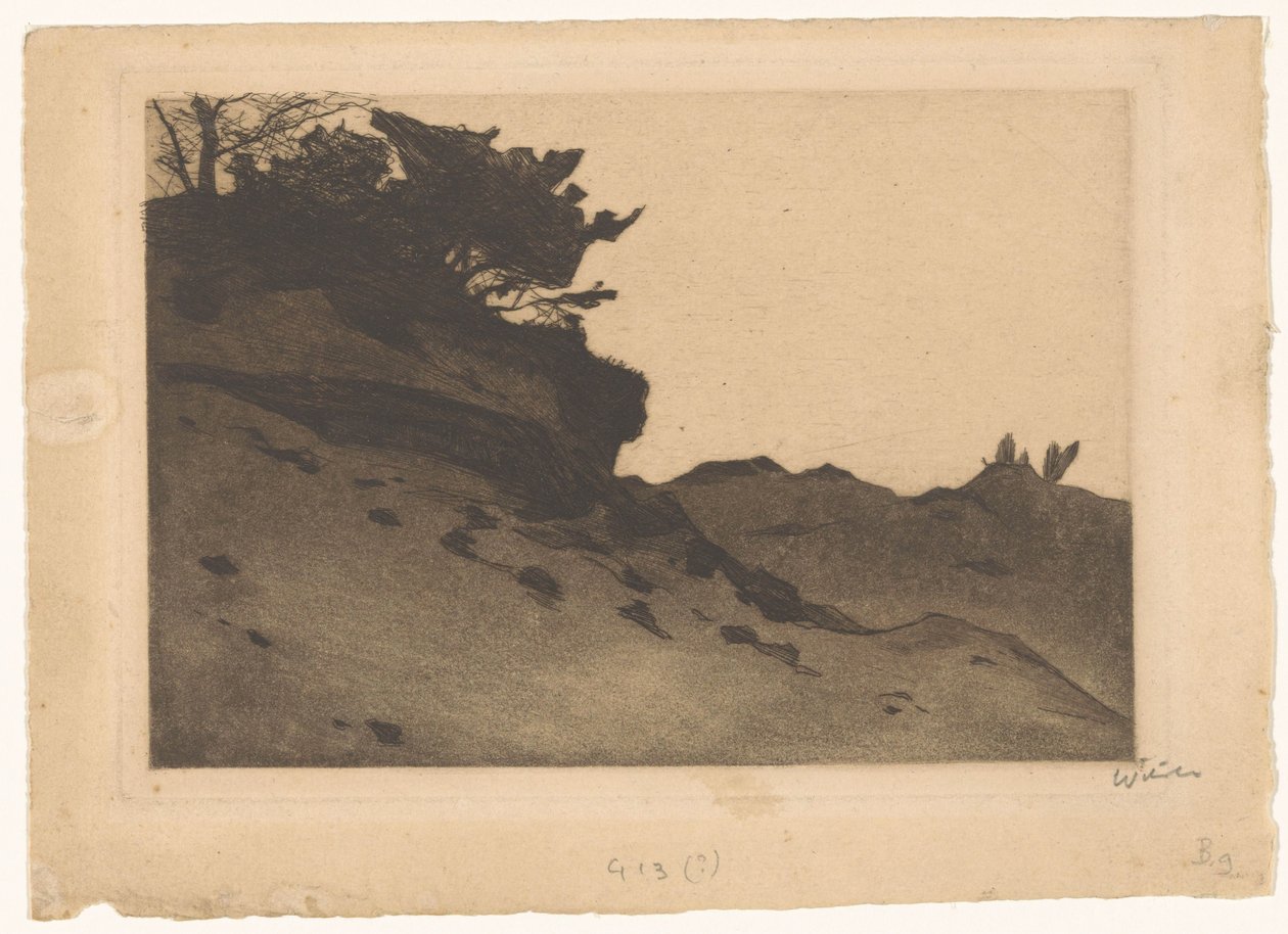 Arbustos à deriva na areia de Willem Witsen (signed by artist)