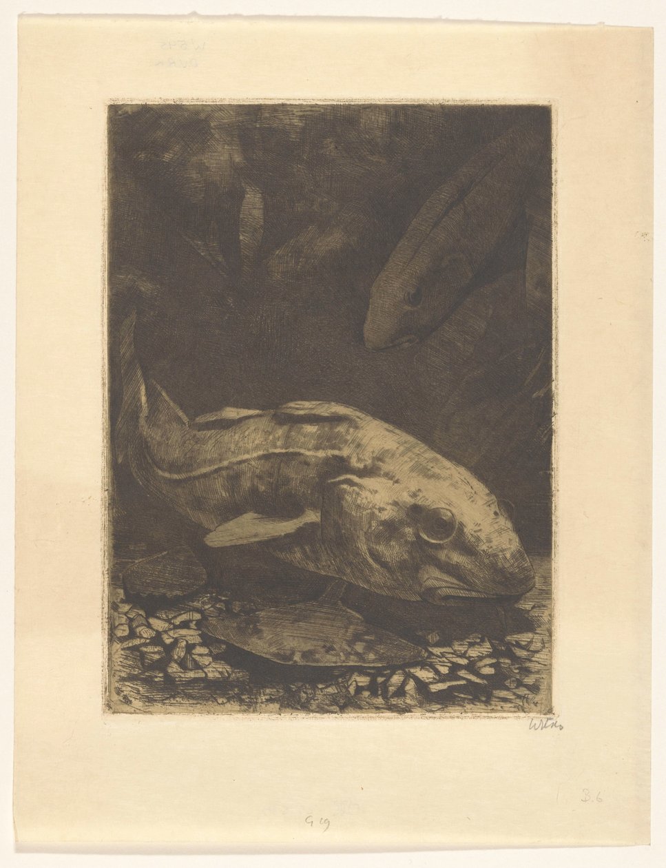 Peixes e plantas aquáticas de Willem Witsen (signed by artist)