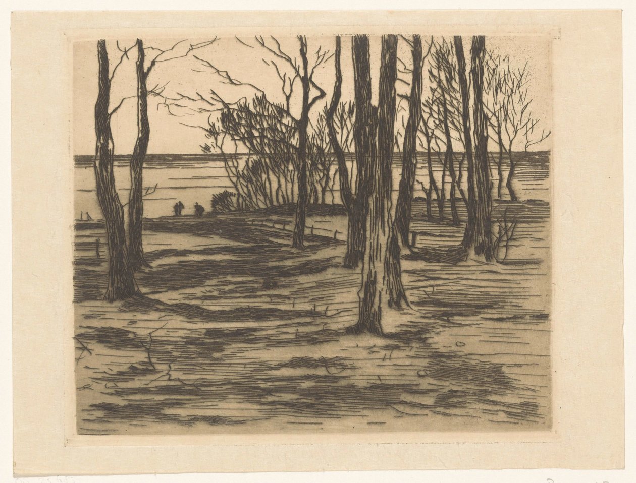 Árvores à beira-mar em Valkeveen de Willem Arnoldus Witsen