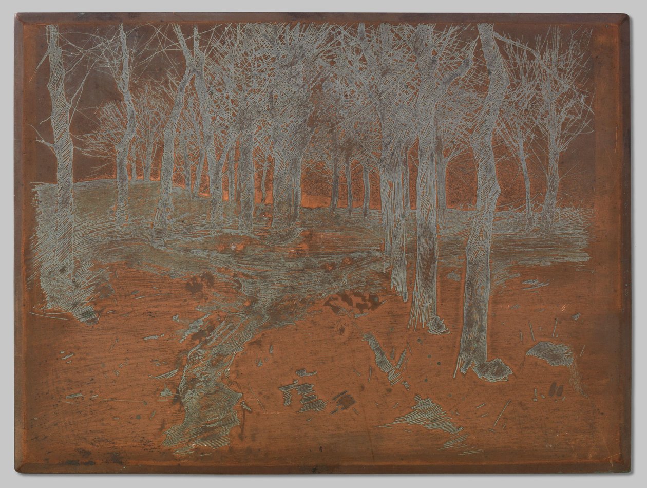 Floresta em Ewijkshoeve de Willem Arnoldus Witsen
