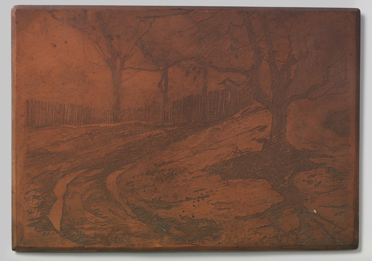 Estrada das dunas de Willem Arnoldus Witsen