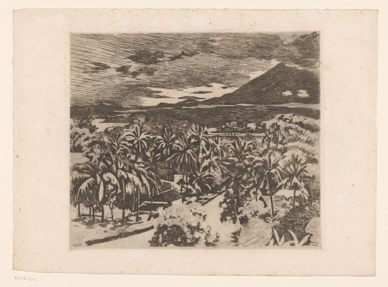 Vista de uma paisagem com árvores de aplausos em Buitenzorg de Willem Arnoldus Witsen