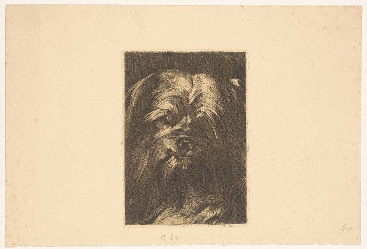 Fobus Hondurenho de Willem Arnoldus Witsen