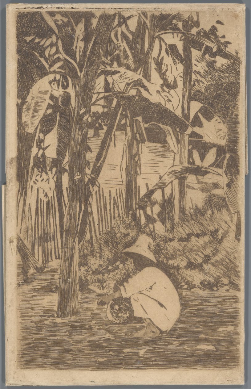 Menino de cócoras em um jardim, Buitenzorg de Willem Arnoldus Witsen