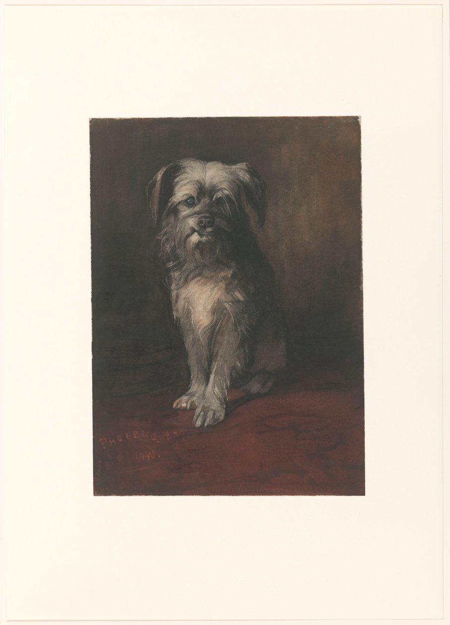 Retrato do cão Febo de Willem Arnoldus Witsen