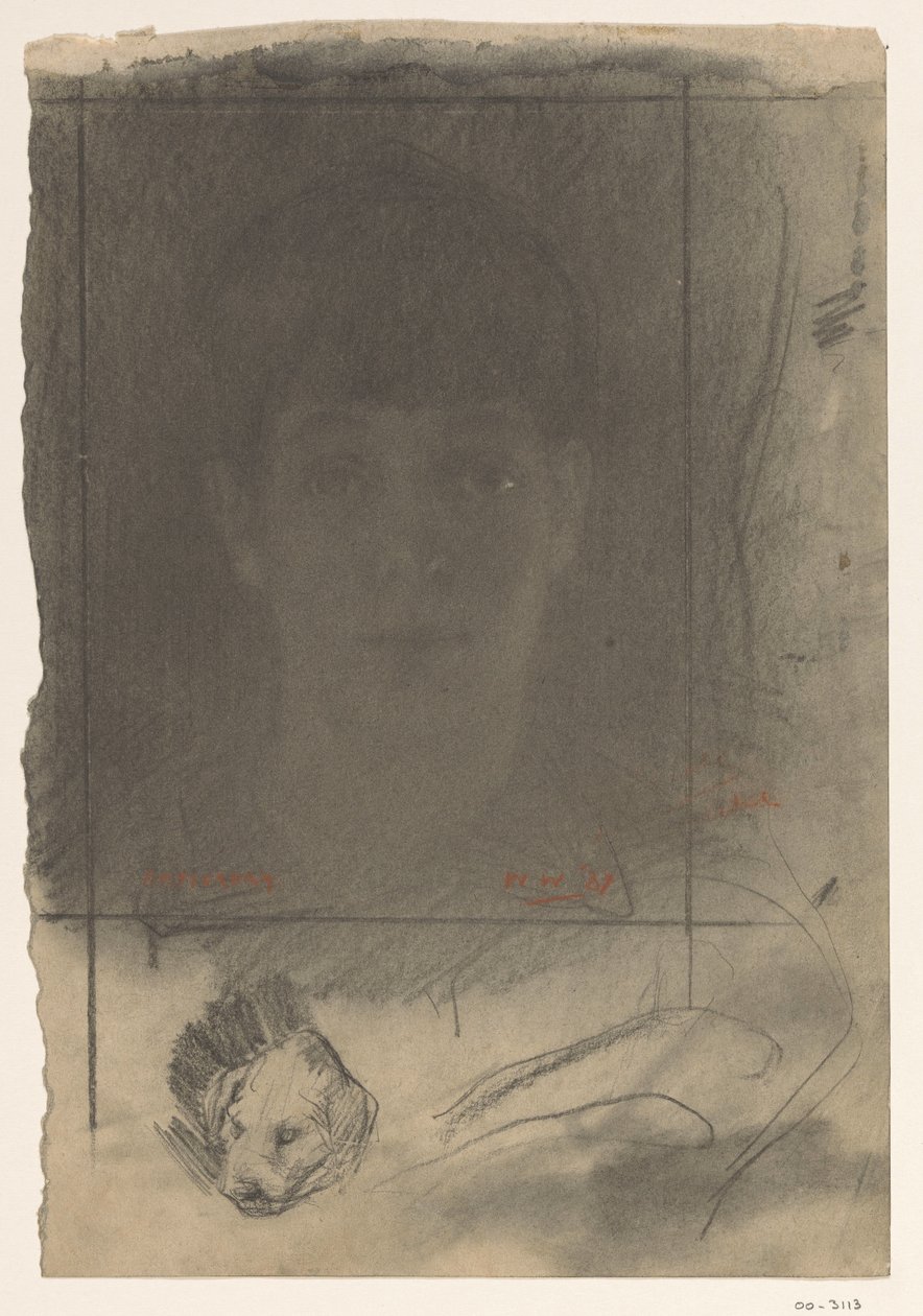 Retrato, um rosto de Willem Arnoldus Witsen