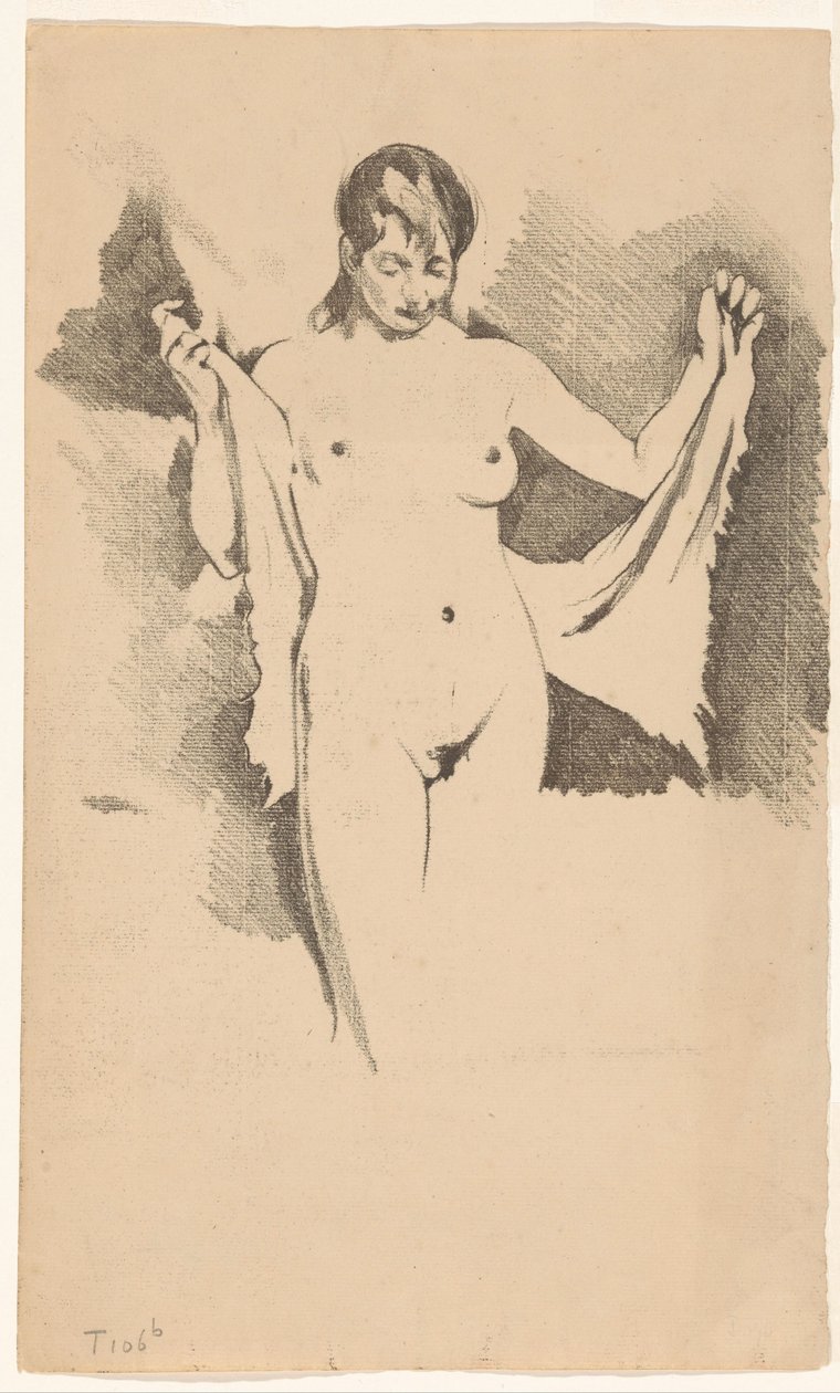 Mulher nua, em pé, a secar-se de Willem Arnoldus Witsen