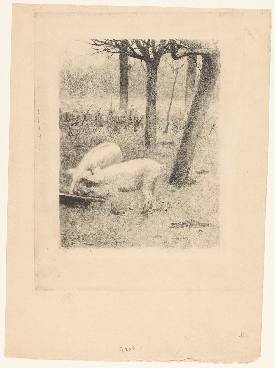 Dois porcos em uma calha de Willem Arnoldus Witsen