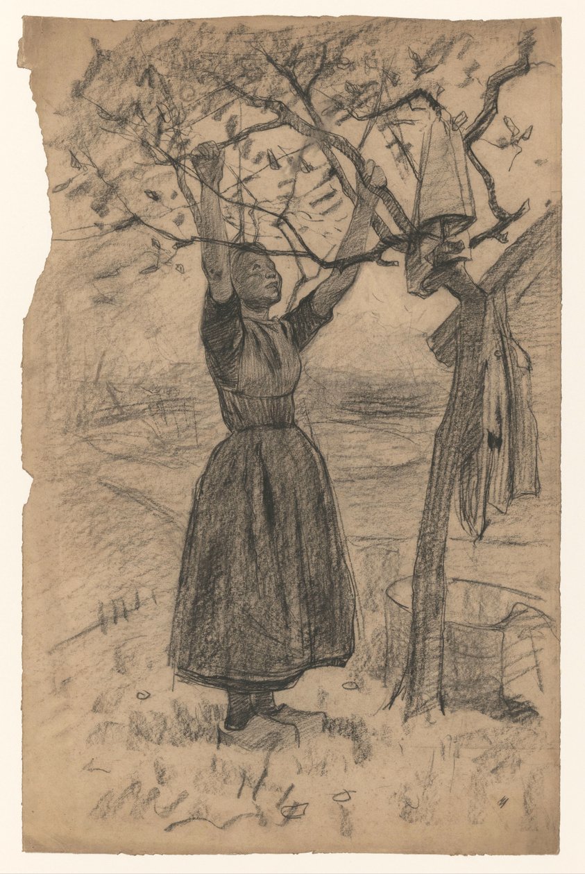 Mulher pendura a roupa em uma árvore, à direita de Willem Arnoldus Witsen
