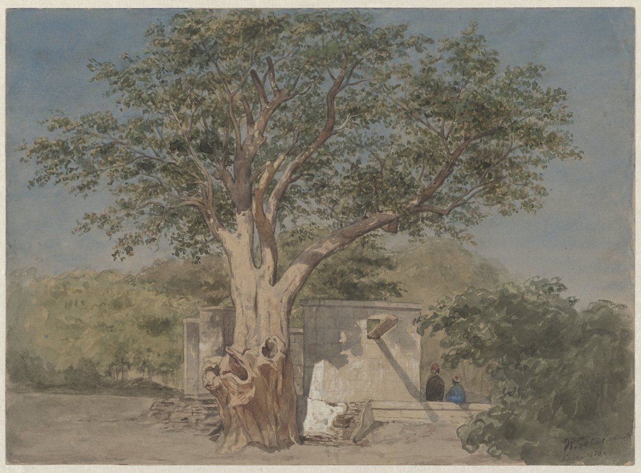 Cabana debaixo de árvore no Cairo de Willem de Famars Testas