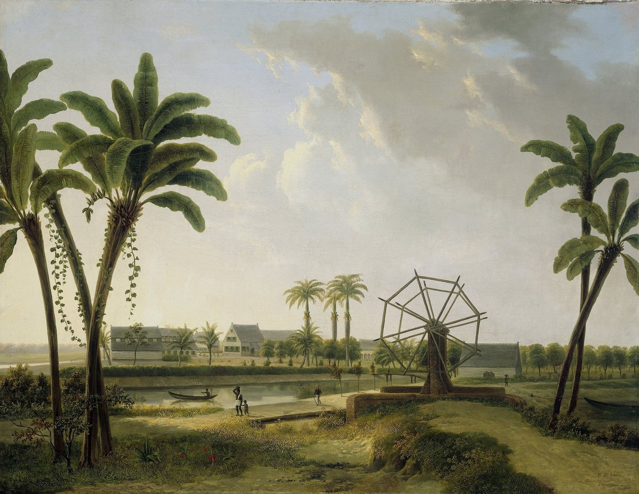 Vista da Plantação de Café Marienbosch no Suriname de Willem de Klerk