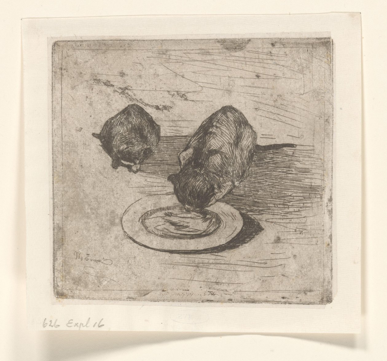 Dois gatos, um bebendo de um prato Dois bichanos (título original) de Willem de Zwart
