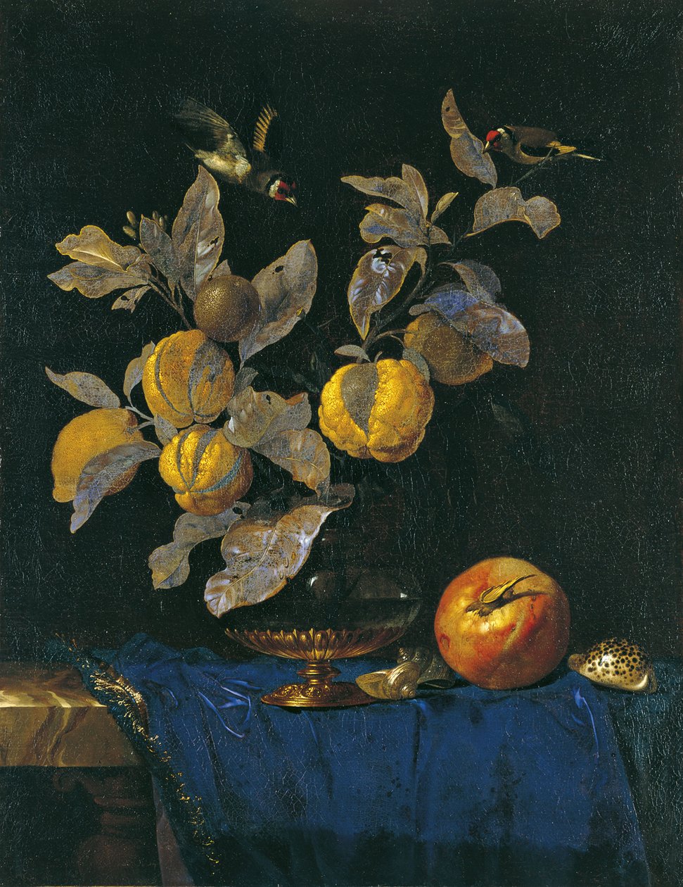 Ainda vida com frutas de Willem van Aelst
