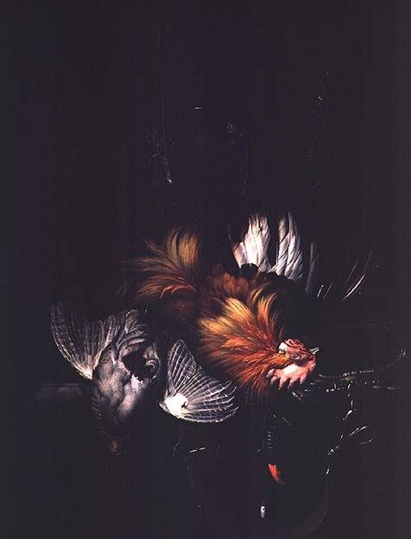 Imagem desconhecida de Willem van Aelst