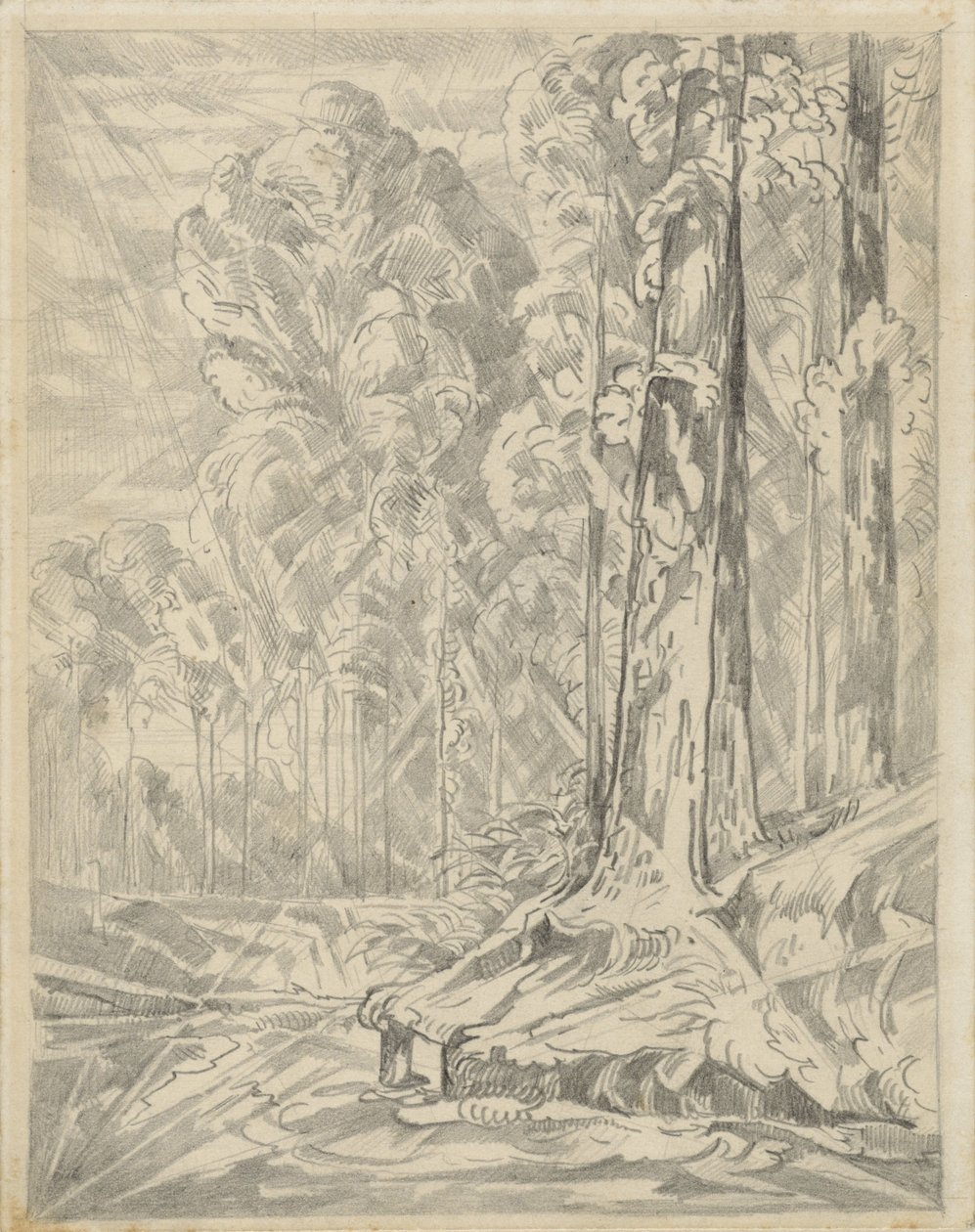 Clareira entre árvores altas de Willem van Konijnenburg