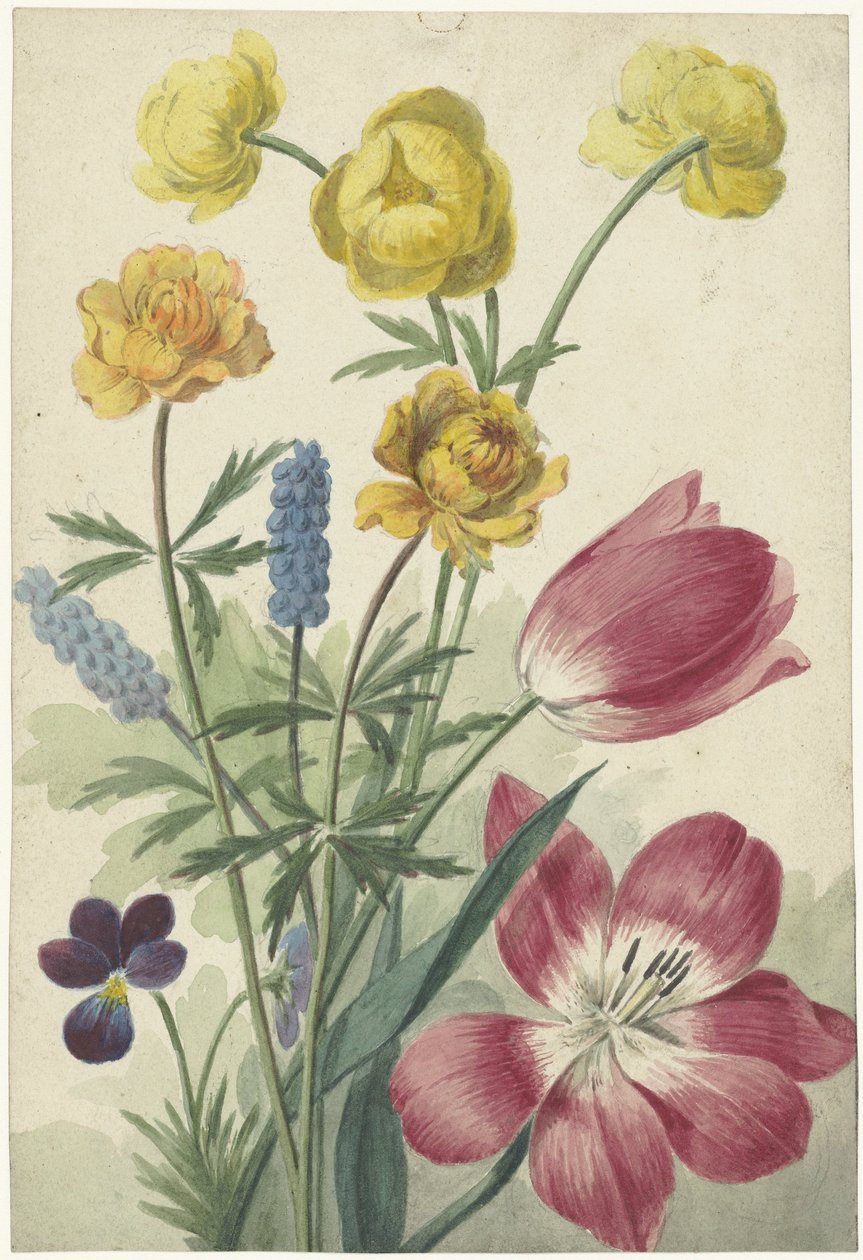 Bouquet de tulipas, panquecas, uvas azuis e pontilhos de Willem van Leen